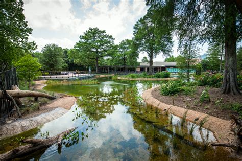City of houston zoo - Seasonal, Guest Service Representative - Starting at $15/Hour. Houston Zoo. Houston, TX 77030. ( Medical Center area) Ensures that guest items are meeting zoo regulations upon entrance, prevents zoo property from leaving zoo grounds. PT position – under 30 hours per week. 
